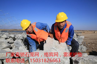 雙隔板雷諾護墊