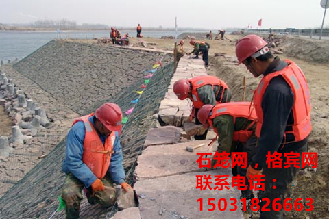 應(yīng)用案例